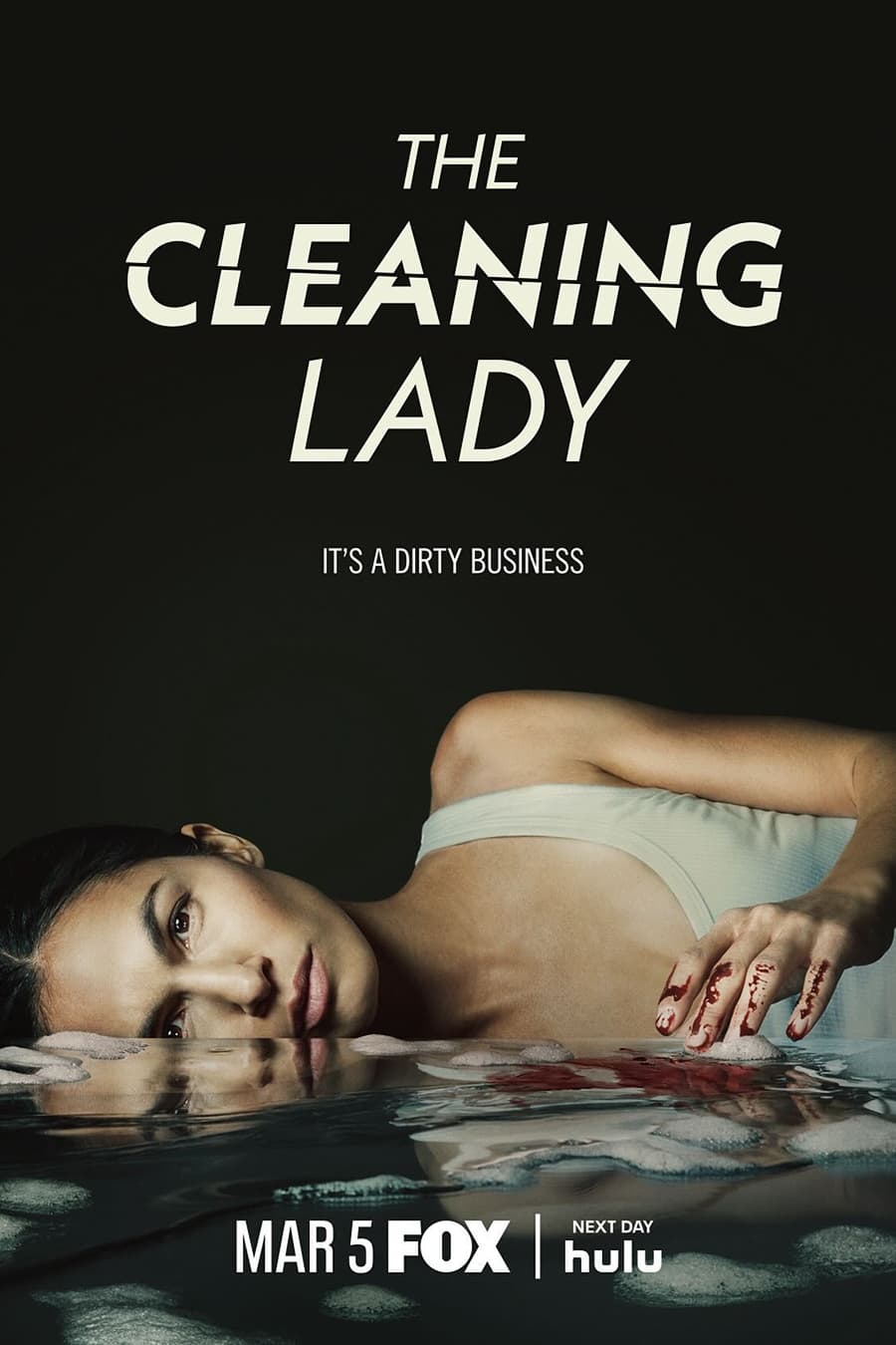 مسلسل The Cleaning Lady الموسم الثالث مترجم