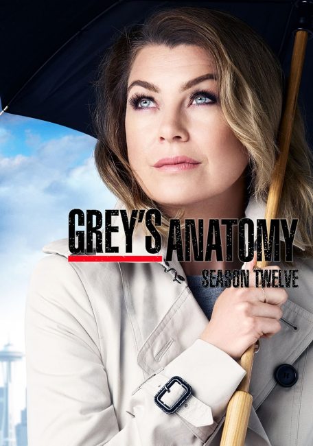 مسلسل Grey’s Anatomy الموسم 12 الحلقة 12 مترجمة